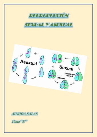 Reproducci n sexual y asexual