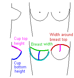 Breast measurements for making bra patterns