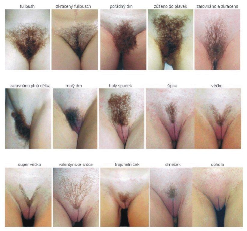 Young pussy pubic hair styles