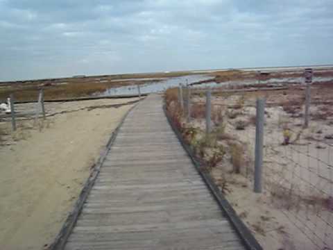 Sandy hook gunnison beach