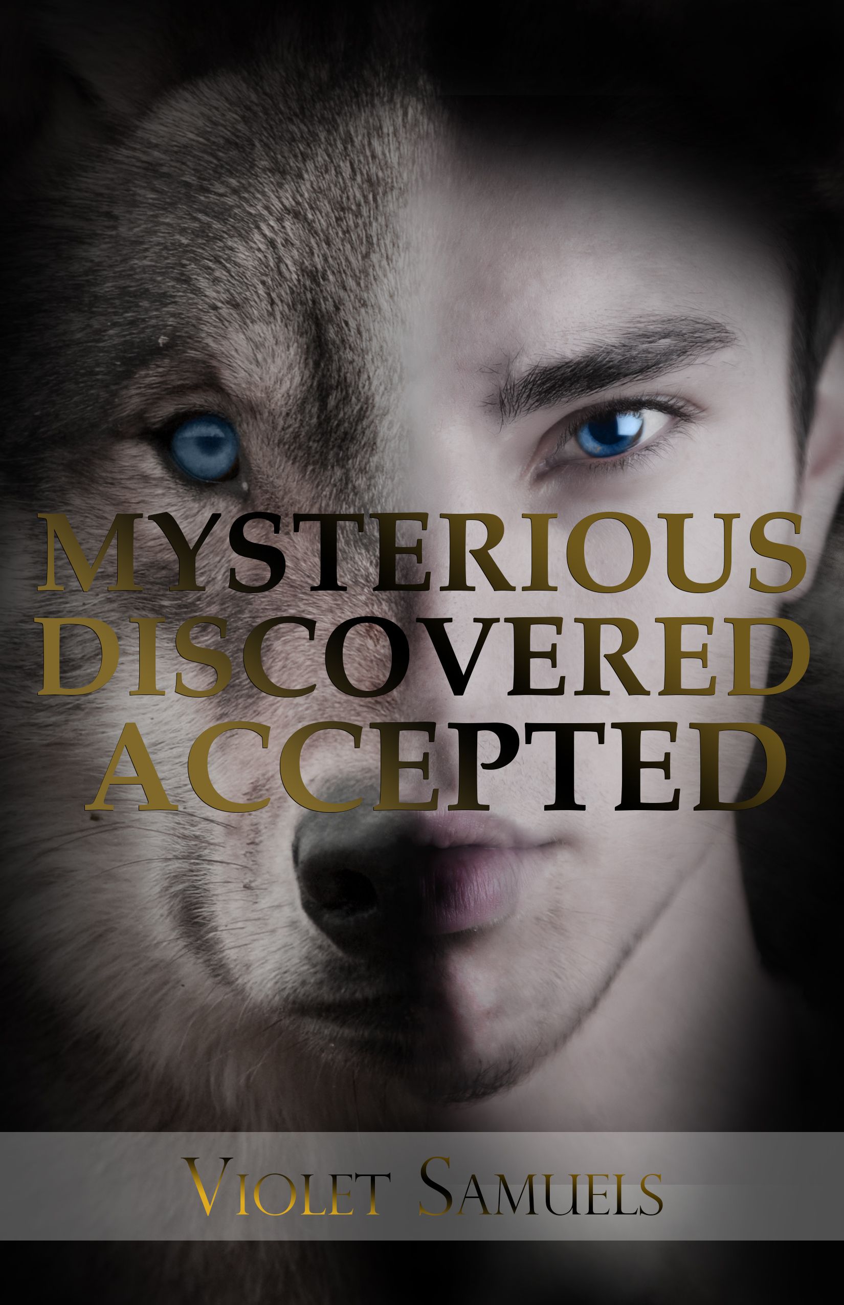 Young adult werewolf books