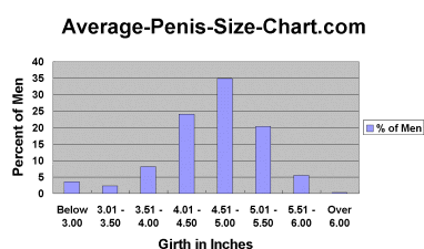 Average size for erect penis