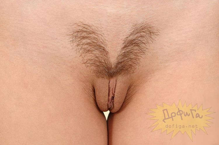 Young pussy pubic hair styles