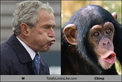 Bush george make monkey porn w